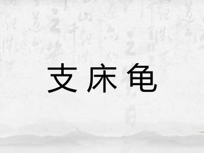 支床龟 支床龟