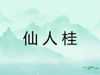 仙人桂 仙人桂