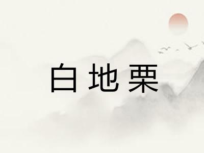 白地栗 白地栗