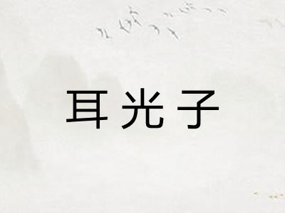 耳光子