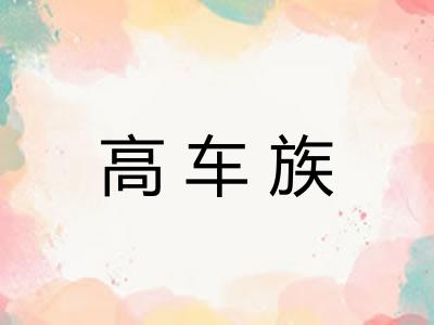 高车族