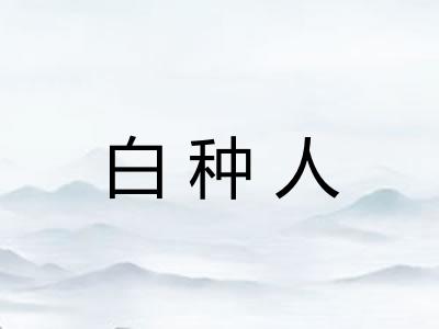 白种人