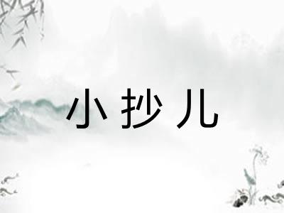 小抄儿