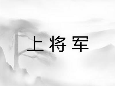 上将军