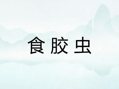食胶虫 食胶虫