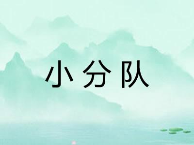 小分队 小分队