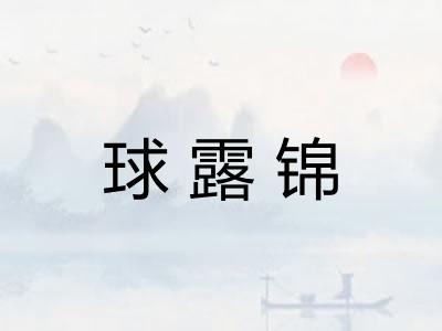 球露锦
