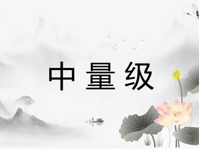 中量级