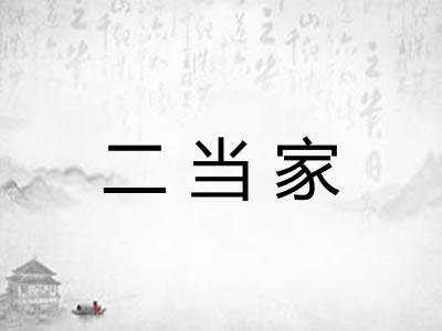 二当家