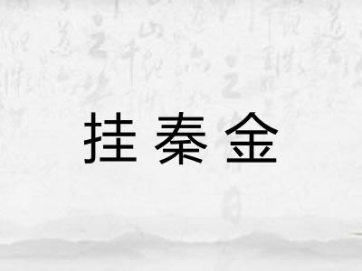 挂秦金