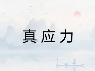真应力