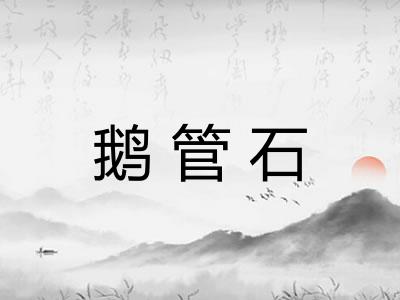 鹅管石 鹅管石