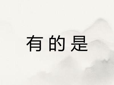 有的是 有的是