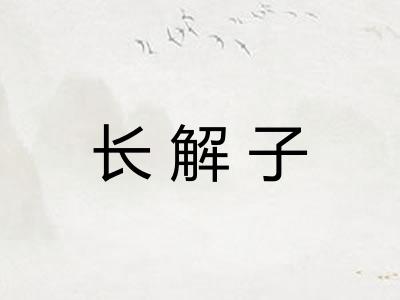 长解子 长解子