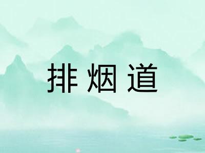 排烟道