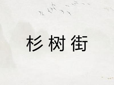 杉树街 杉树街