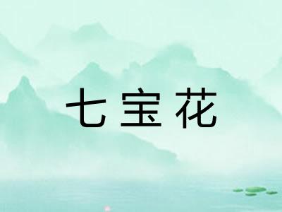 七宝花 七宝花