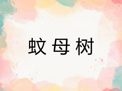蚊母树