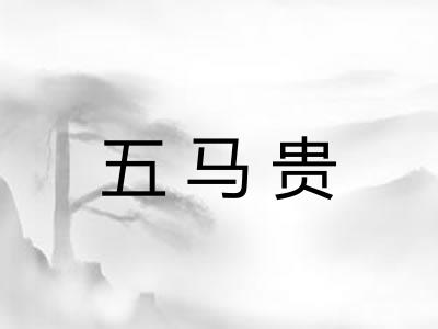 五马贵 五马贵