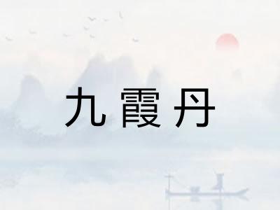 九霞丹