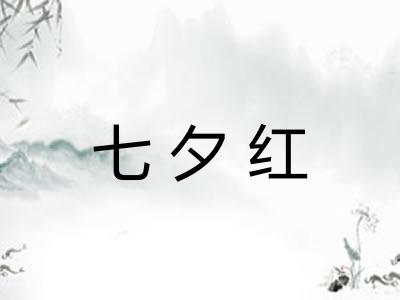 七夕红