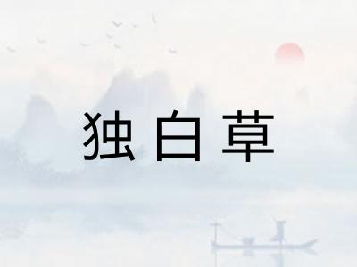 独白草