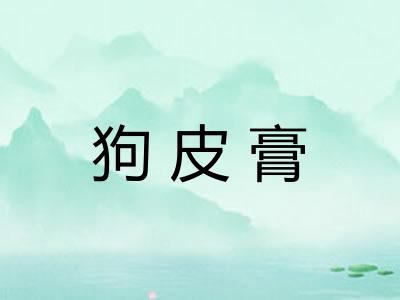 狗皮膏 狗皮膏