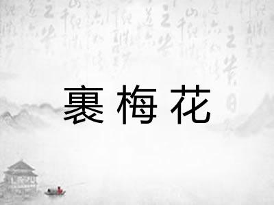 裹梅花 裹梅花