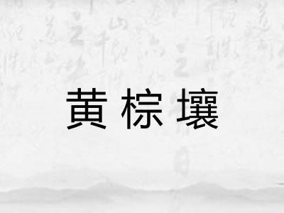 黄棕壤 黄棕壤