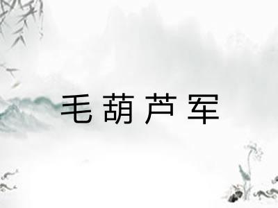 毛葫芦军