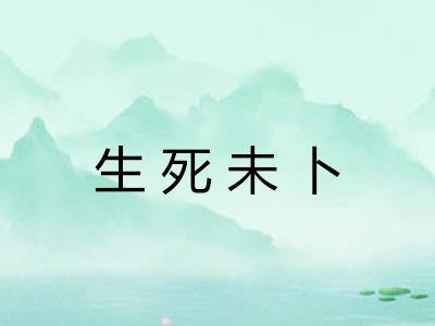 生死未卜