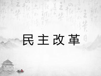 民主改革 民主改革