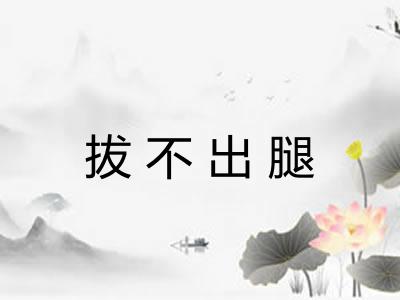 拔不出腿 拔不出腿