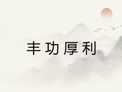 丰功厚利 丰功厚利