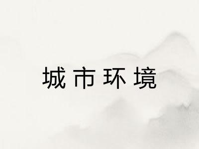 城市环境