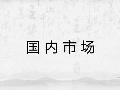 国内市场 国内市场