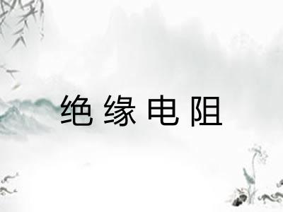 绝缘电阻 绝缘电阻