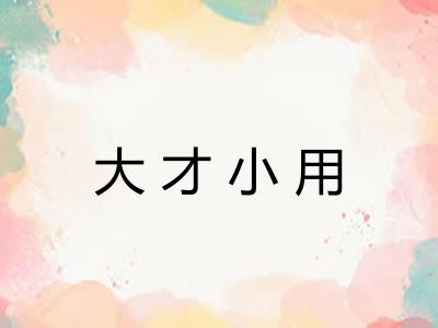 大才小用 大才小用