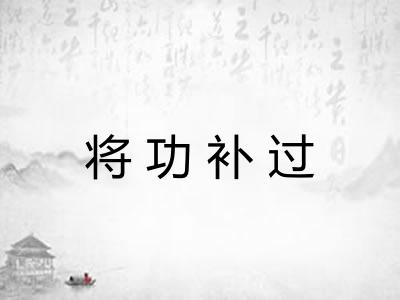 将功补过 将功补过