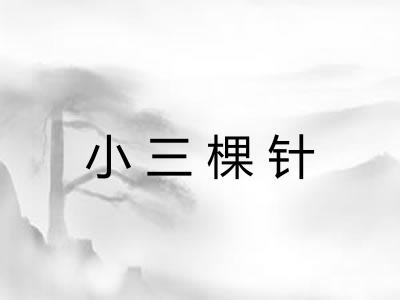 小三棵针 小三棵针