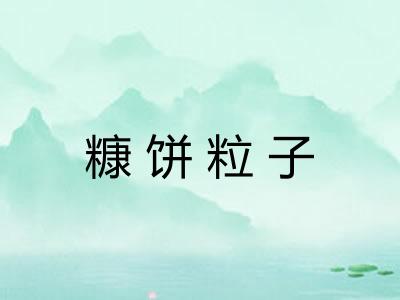 糠饼粒子 糠饼粒子