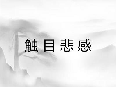 触目悲感 触目悲感