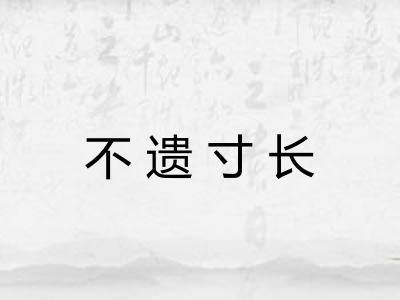 不遗寸长