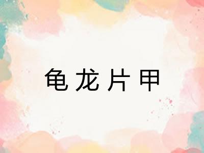 龟龙片甲 龟龙片甲