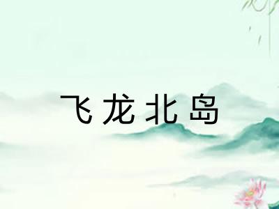 飞龙北岛