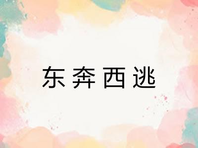 东奔西逃 东奔西逃