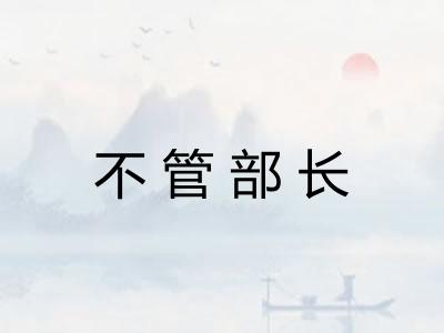 不管部长