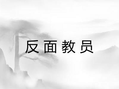 反面教员