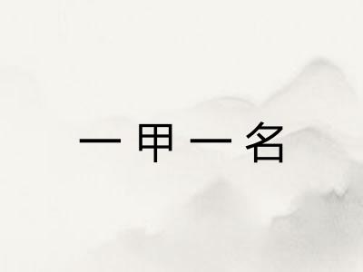 一甲一名