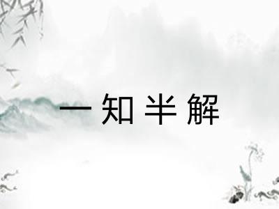 一知半解